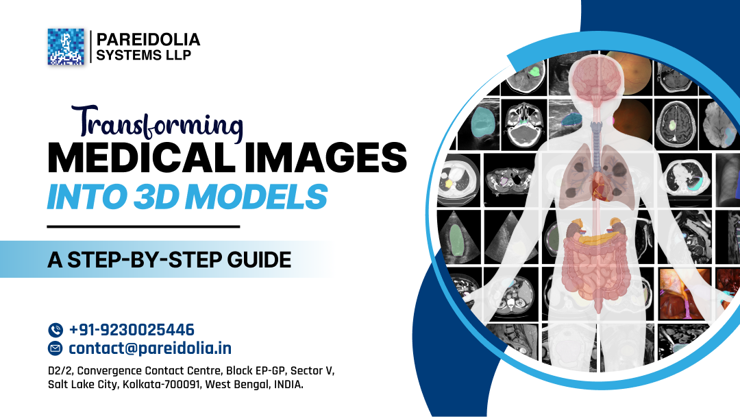 anatomical 3D models