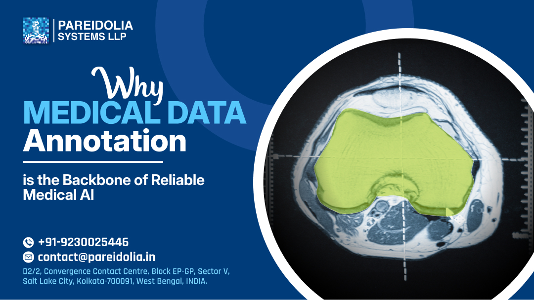Medical Data Annotation
