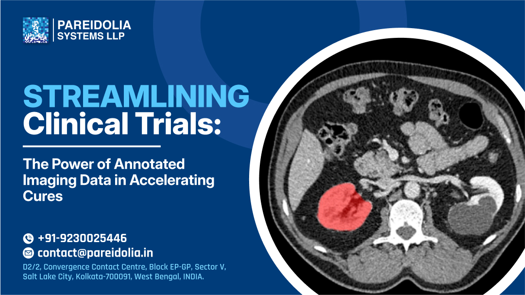 Medical Image Annotations