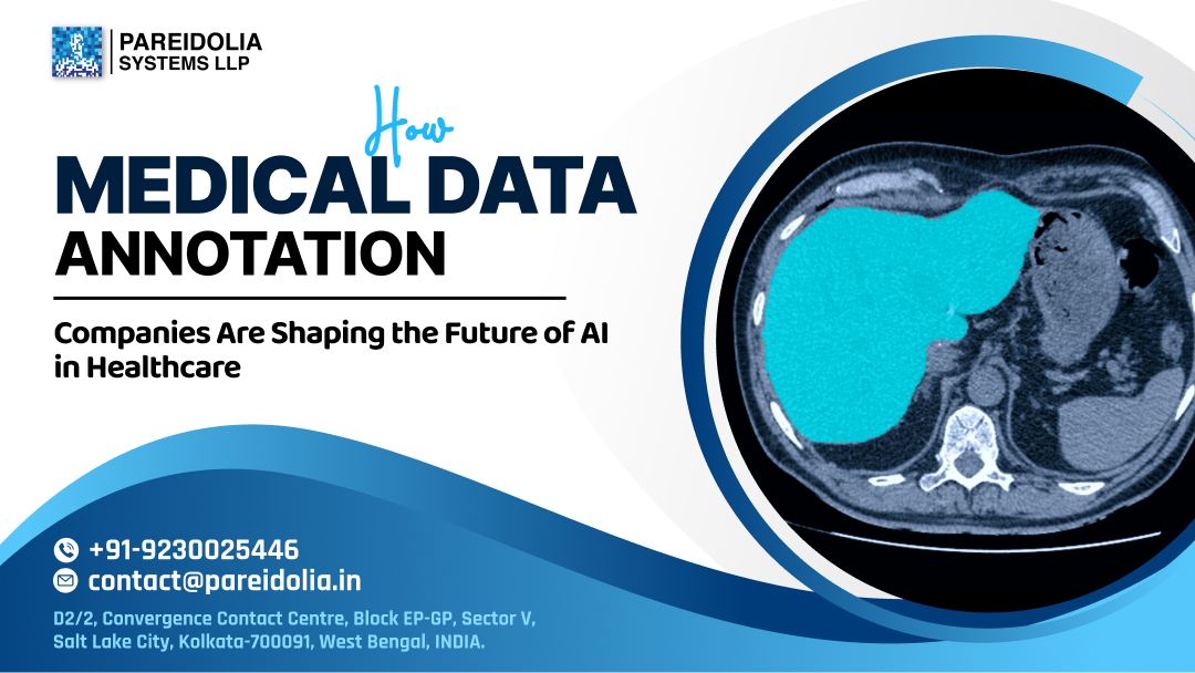 Medical data annotation company