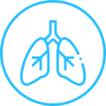 Pulmonology